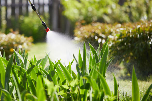 24/7 Emergency Fumigation Services experts in Laurie, MO